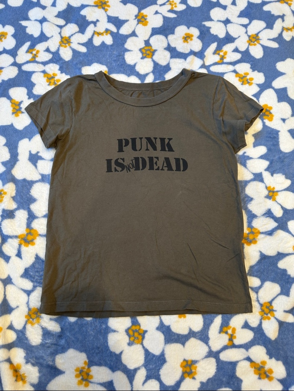 Brandy Melville/John Galt 'Punk Is Not Dead' Graphic Tee
